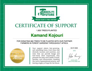 Trees Donation - Kamand Kojouri 2020
